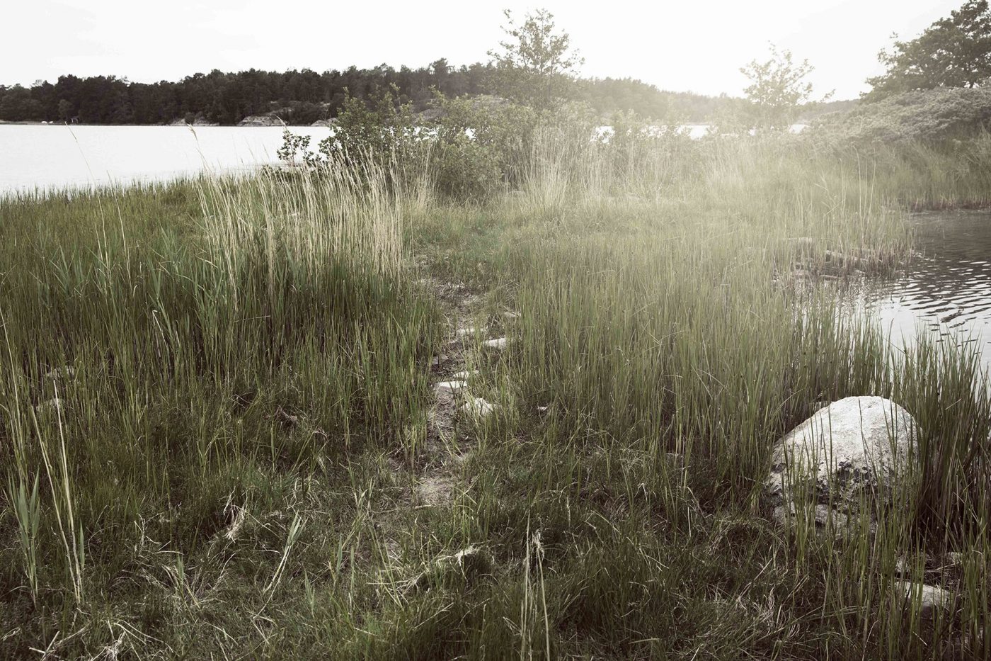 Skargard stig sten trad strand